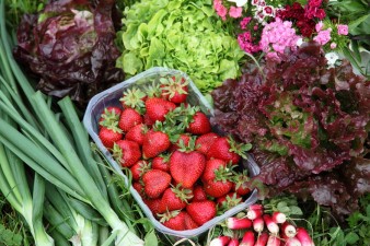 panier gourmand