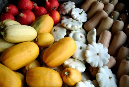 illustration fruits et lgumes